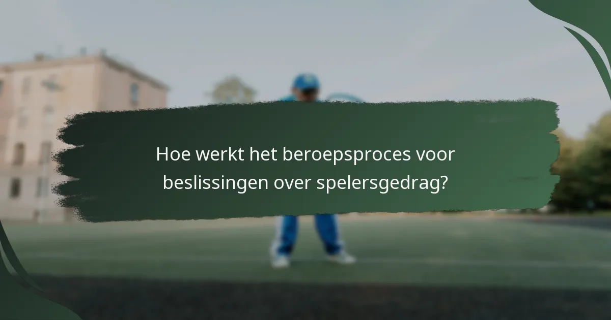 Hoe werkt het beroepsproces voor beslissingen over spelersgedrag?