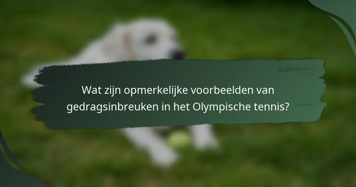Wat zijn opmerkelijke voorbeelden van gedragsinbreuken in het Olympische tennis?